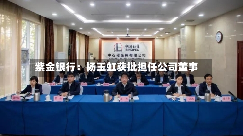 紫金银行：杨玉虹获批担任公司董事-第1张图片