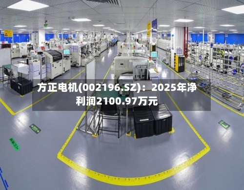 方正电机(002196.SZ)：2025年净利润2100.97万元-第1张图片