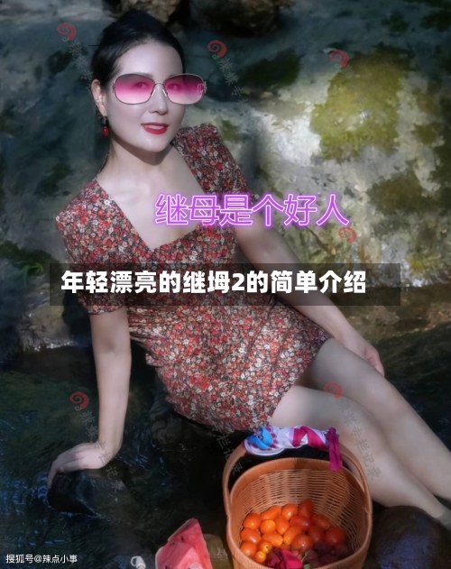 年轻漂亮的继坶2的简单介绍-第2张图片