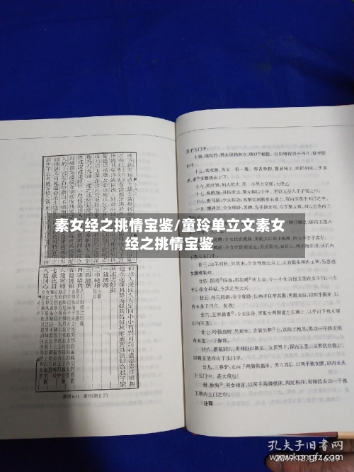 素女经之挑情宝鉴/童玲单立文素女经之挑情宝鉴-第2张图片