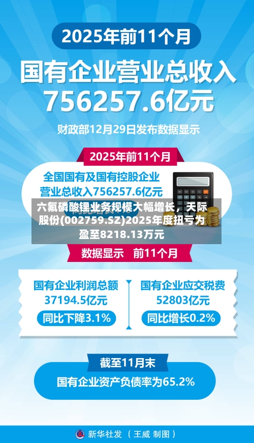 六氟磷酸锂业务规模大幅增长	，天际股份(002759.SZ)2025年度扭亏为盈至8218.13万元-第2张图片