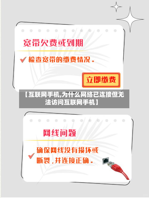 【互联网手机,为什么网络已连接但无法访问互联网手机】-第2张图片