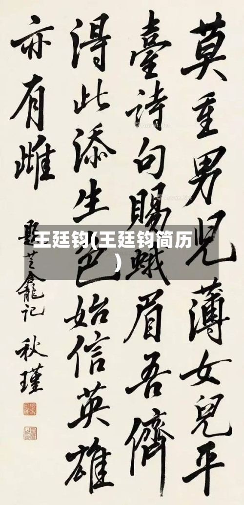 王廷钧(王廷钧简历)