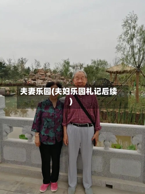 夫妻乐园(夫妇乐园札记后续)-第3张图片