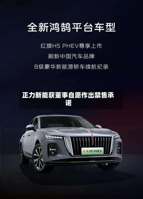 正力新能获董事自愿作出禁售承诺