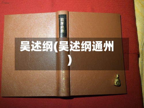 吴述纲(吴述纲通州)