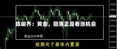 陈峻齐：黄金，回落正是看涨机会-第3张图片