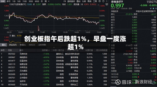 创业板指午后跌超1%，早盘一度涨超1%-第2张图片