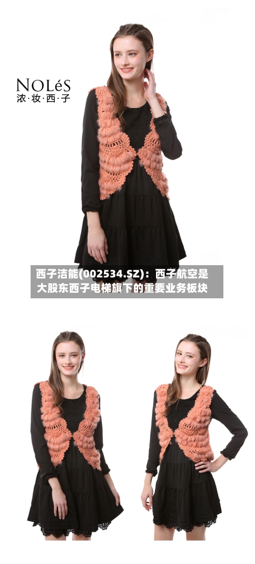 西子洁能(002534.SZ)：西子航空是大股东西子电梯旗下的重要业务板块