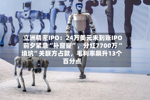 立洲精密IPO：24万美元未到账IPO前夕紧急“补窟窿”，分红7700万“填坑”关联方占款，毛利率飙升13个百分点