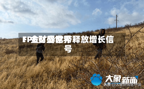 FPG财盛世界
:金矿异常带释放增长信号-第2张图片