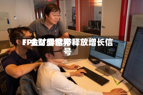 FPG财盛世界：金矿异常带释放增长信号