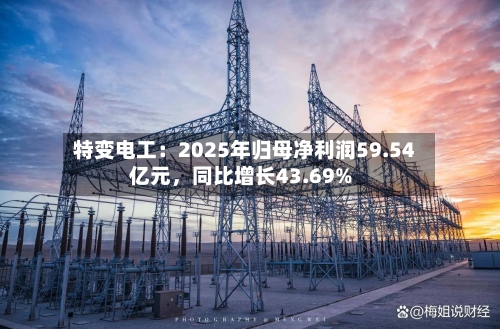 特变电工：2025年归母净利润59.54亿元，同比增长43.69%