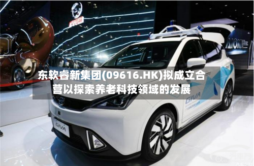 东软睿新集团(09616.HK)拟成立合营以探索养老科技领域的发展-第3张图片