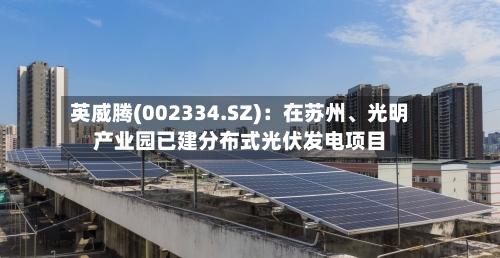 英威腾(002334.SZ)：在苏州、光明产业园已建分布式光伏发电项目