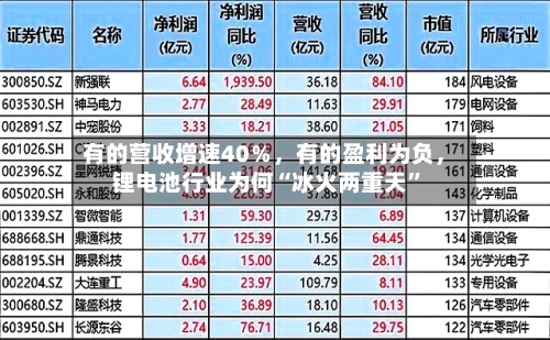 有的营收增速40％，有的盈利为负，锂电池行业为何“冰火两重天”-第3张图片