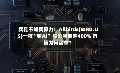 卖鞋不如卖算力！Allbirds(BIRD.US)一夜“变AI” 股价暴涨超400% 市场为何买单？-第2张图片