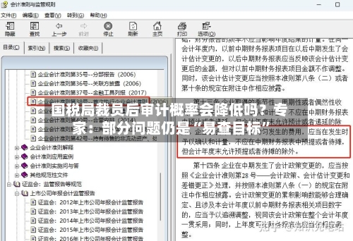 国税局裁员后审计概率会降低吗？专家：部分问题仍是“易查目标”