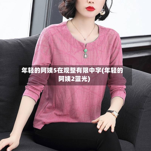 年轻的阿姨5在观整有限中字(年轻的阿姨2蓝光)-第2张图片