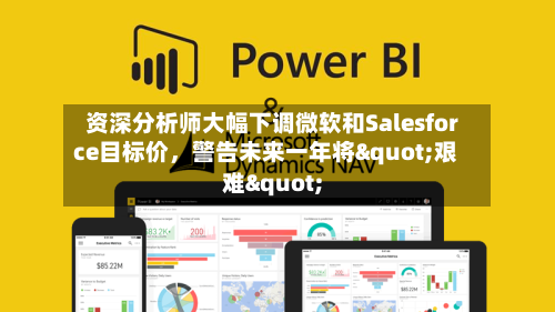 资深分析师大幅下调微软和Salesforce目标价，警告未来一年将"艰难"