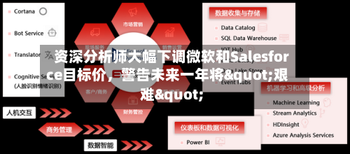 资深分析师大幅下调微软和Salesforce目标价	，警告未来一年将"艰难"-第3张图片