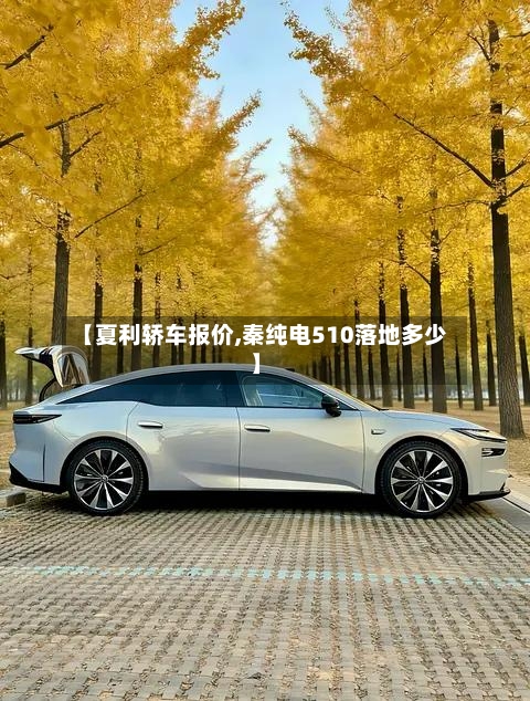 【夏利轿车报价,秦纯电510落地多少】-第2张图片