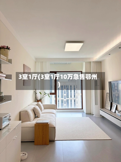 3室1厅(3室1厅10万急售鄂州)