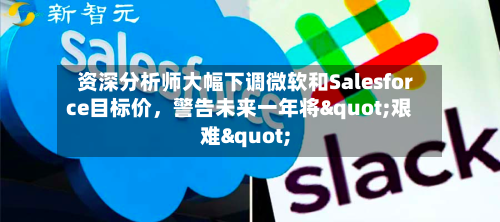 资深分析师大幅下调微软和Salesforce目标价，警告未来一年将"艰难"-第2张图片