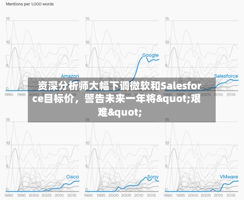 资深分析师大幅下调微软和Salesforce目标价，警告未来一年将"艰难"