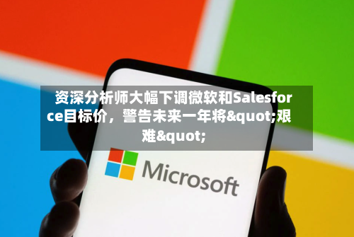资深分析师大幅下调微软和Salesforce目标价	，警告未来一年将"艰难"-第3张图片