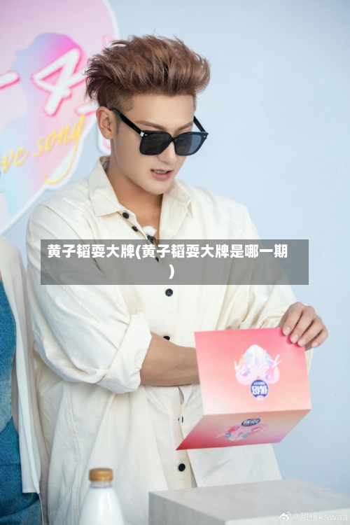 黄子韬耍大牌(黄子韬耍大牌是哪一期)