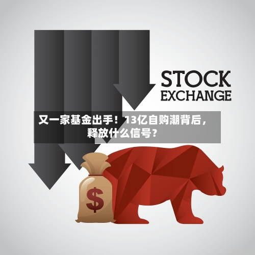 又一家基金出手！13亿自购潮背后，释放什么信号？-第2张图片