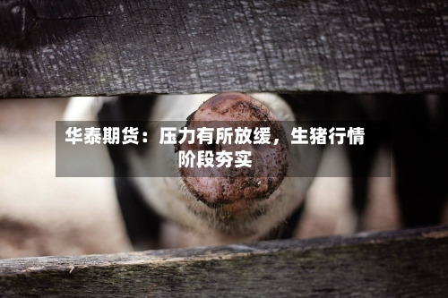 华泰期货：压力有所放缓，生猪行情阶段夯实