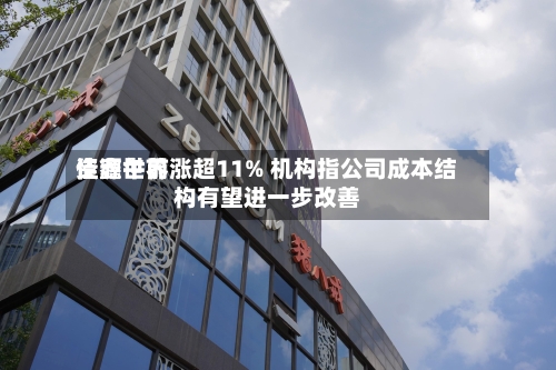 佳鑫世界资源午前涨超11% 机构指公司成本结构有望进一步改善