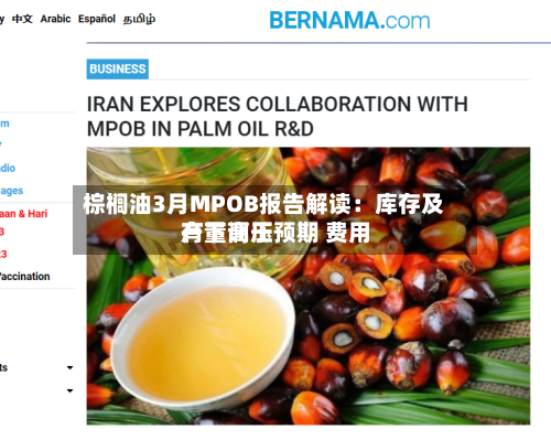 棕榈油3月MPOB报告解读:库存及产量高于预期 费用
有下调压-第2张图片