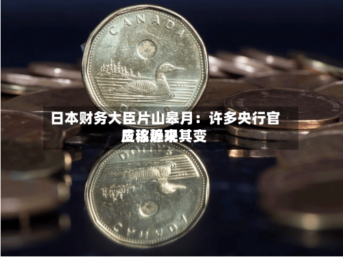 日本财务大臣片山皋月：许多央行官员称近来应该静观其变-第3张图片