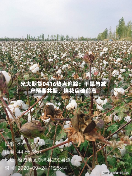 光大期货0416热点追踪：干旱与减产预期共振，棉花突破前高