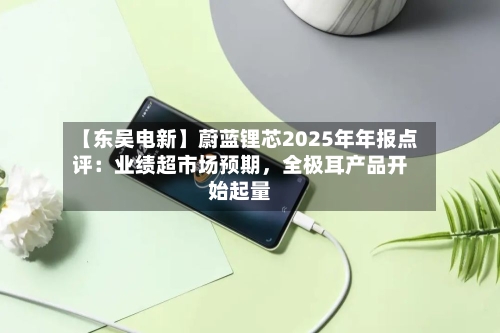 【东吴电新】蔚蓝锂芯2025年年报点评：业绩超市场预期	，全极耳产品开始起量-第2张图片