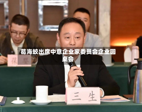 葛海蛟出席中意企业家委员会企业圆桌会-第2张图片