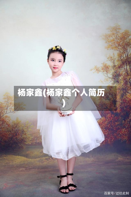 杨家鑫(杨家鑫个人简历)