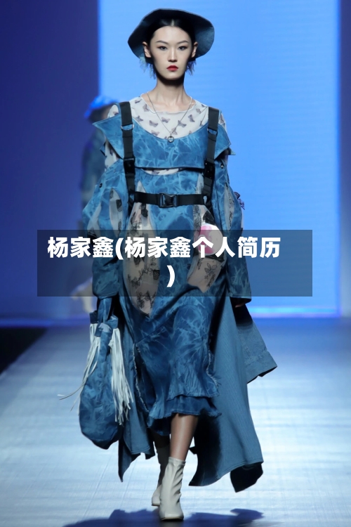 杨家鑫(杨家鑫个人简历)-第3张图片