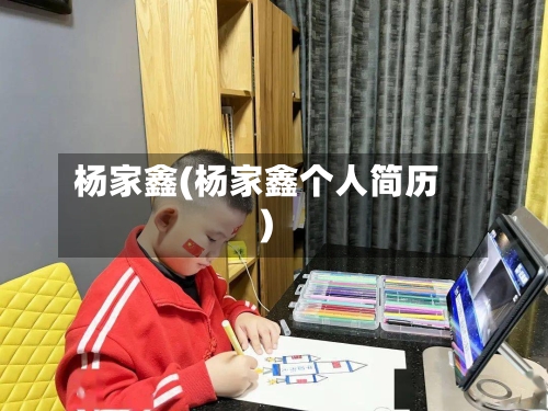 杨家鑫(杨家鑫个人简历)-第2张图片