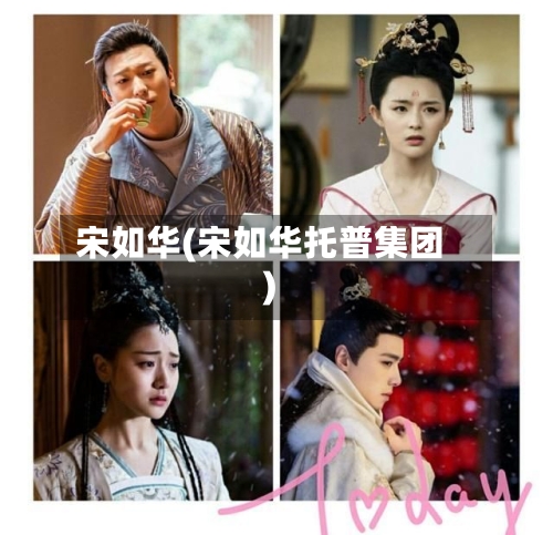 宋如华(宋如华托普集团)