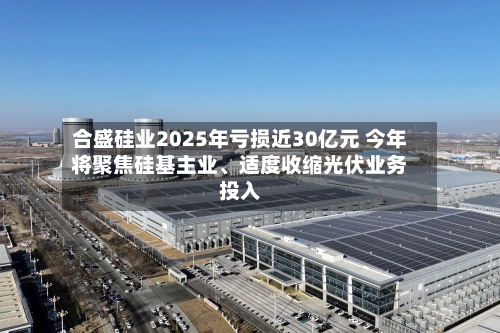 合盛硅业2025年亏损近30亿元 今年将聚焦硅基主业	、适度收缩光伏业务投入-第2张图片