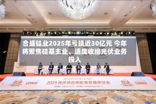 合盛硅业2025年亏损近30亿元 今年将聚焦硅基主业、适度收缩光伏业务投入-第3张图片