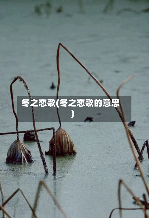 冬之恋歌(冬之恋歌的意思)-第1张图片