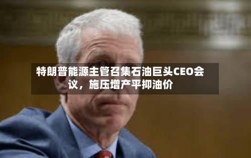 特朗普能源主管召集石油巨头CEO会议	，施压增产平抑油价-第3张图片