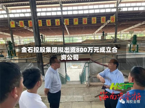 金石控股集团拟出资800万元成立合资公司-第2张图片