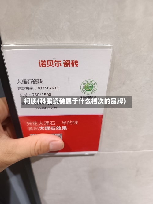 柯鹏(科鹏瓷砖属于什么档次的品牌)-第3张图片