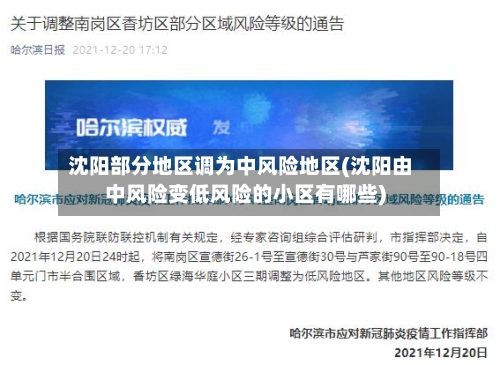 沈阳部分地区调为中风险地区(沈阳由中风险变低风险的小区有哪些)-第3张图片